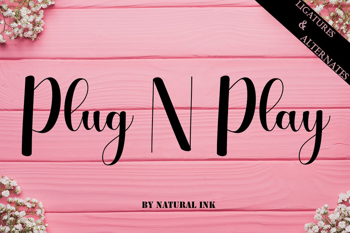 Plug N Play example image 1