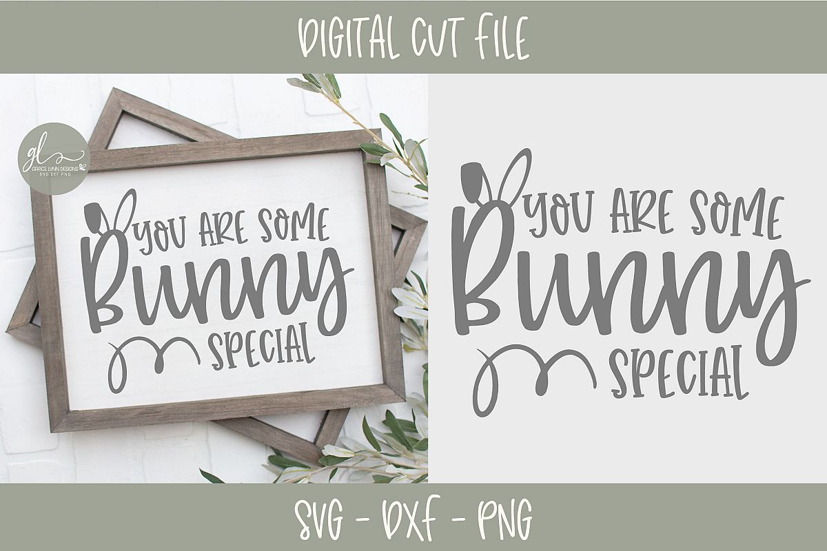 You Are Some Bunny Special - Easter SVG Cut File (230030 ...