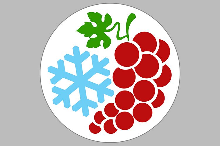 grape holiday example image 1