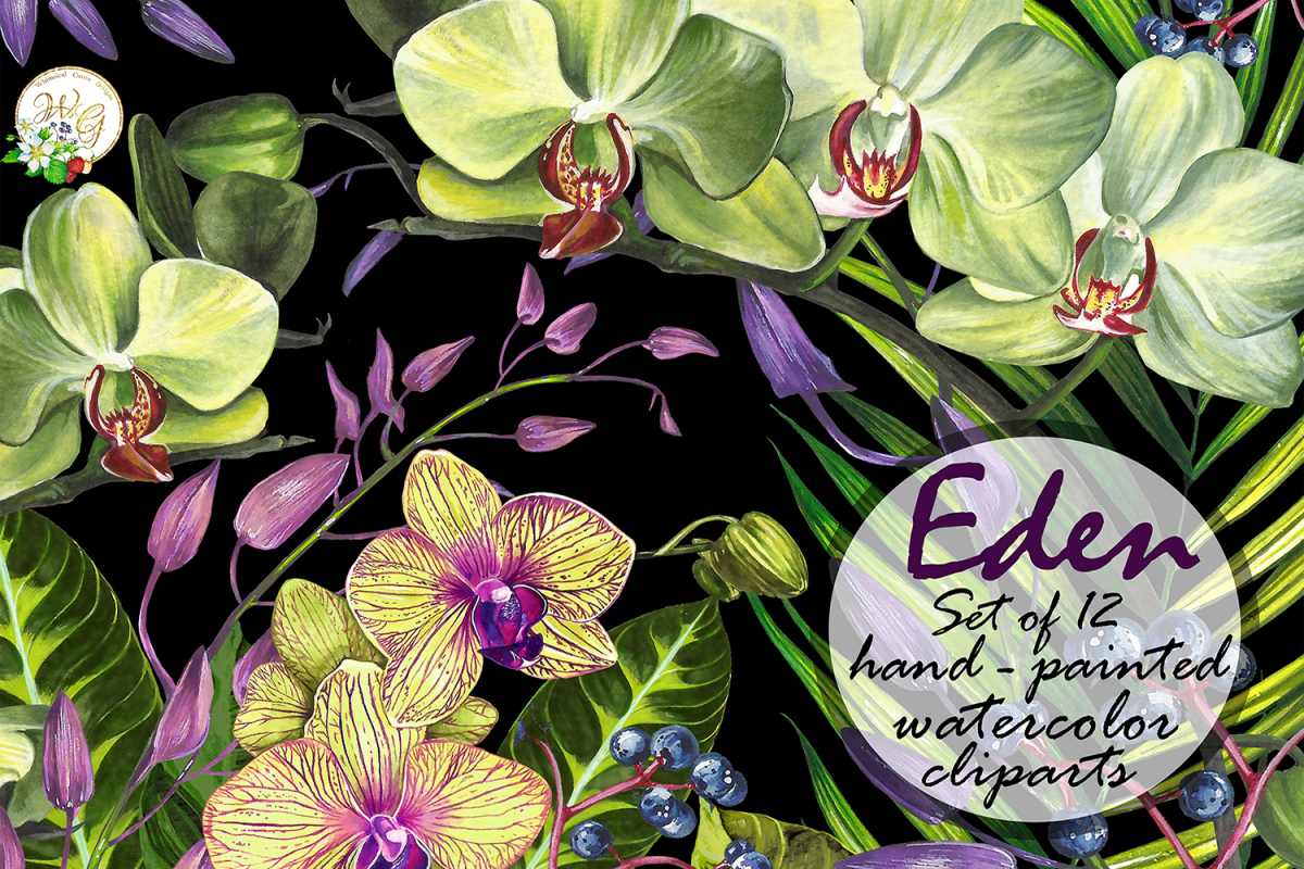 Orchid set 12 watercolor handpainted clipart, floral, wreath example image 1