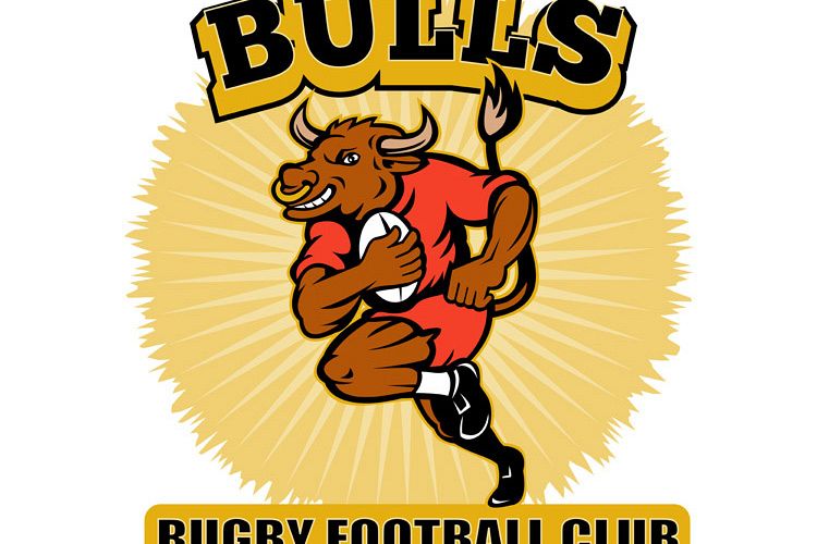 Bull playing rugby running with ball example image 1
