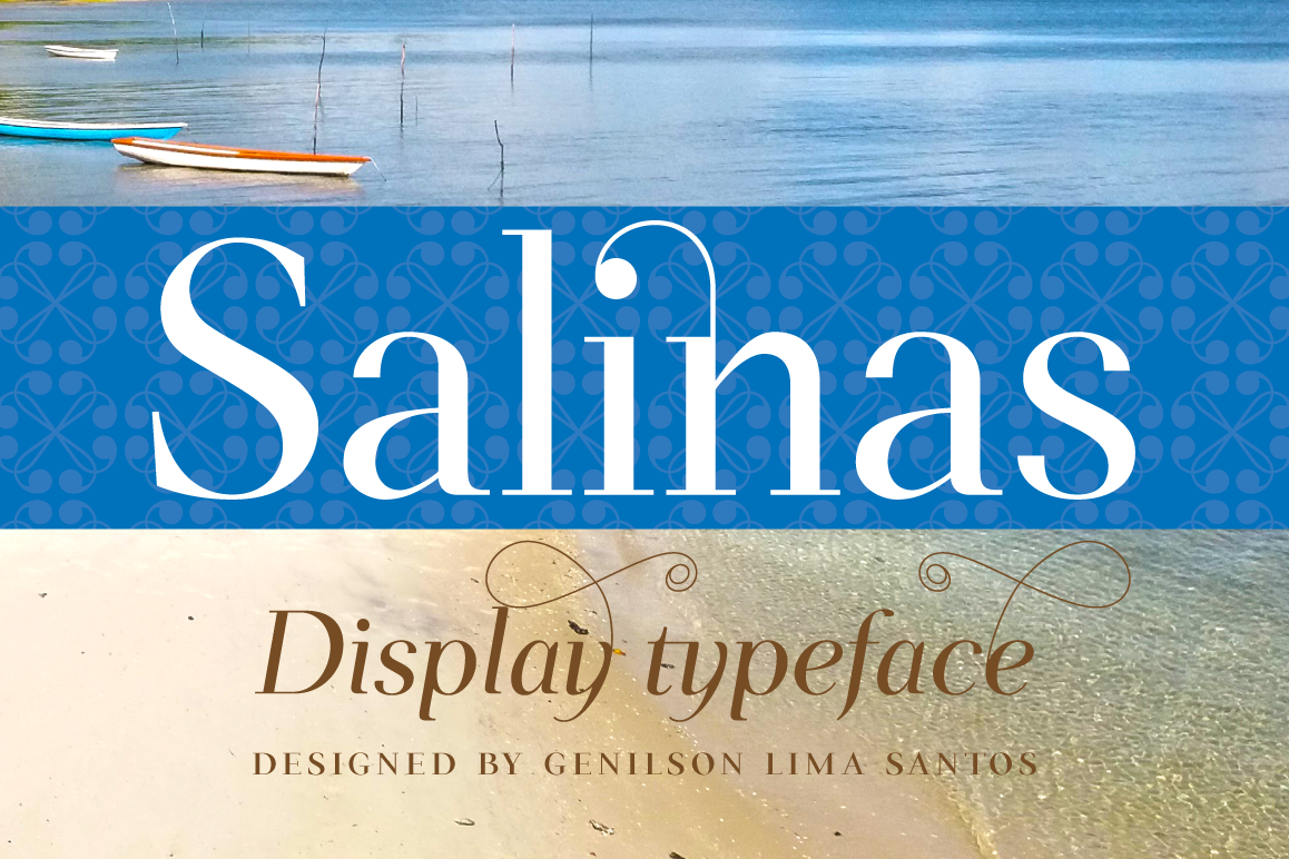 Salinas example image 1
