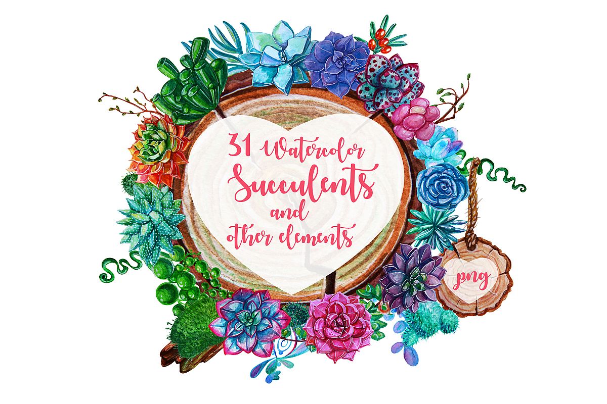 Watercolor Succulent Plants and other elements example image 1