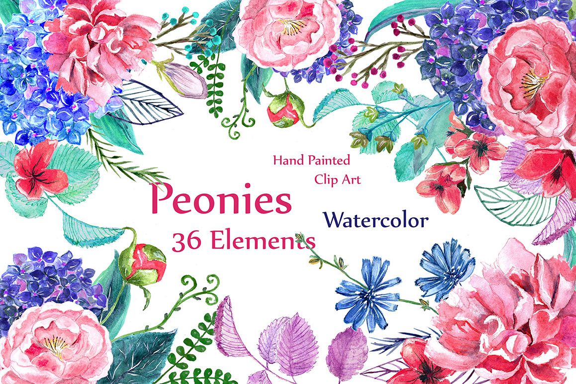 Watercolor peonies flowers clipart example image 1