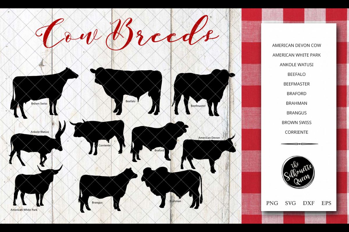 Cow Breeds Silhouette Vector svg file, cow svg cut file example image 1