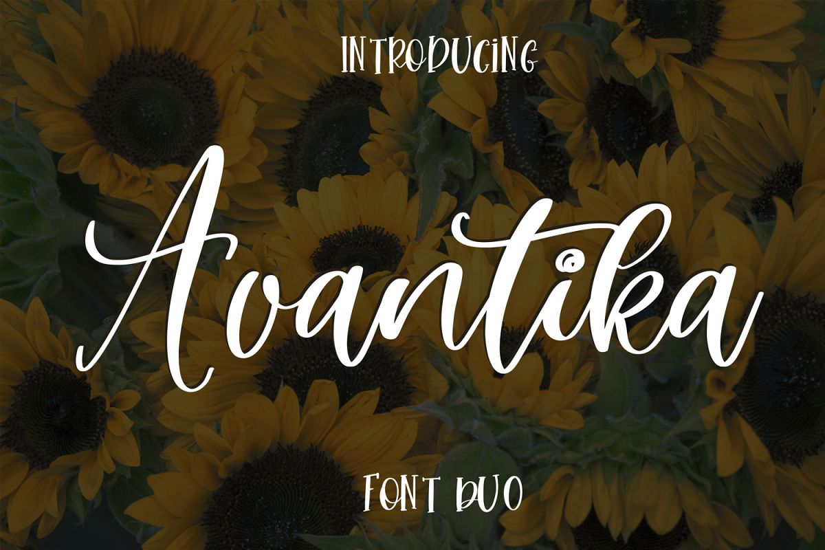 Avantika Font Duo example image 1