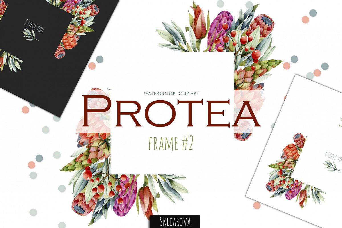 Protea. Frame #2 example image 1
