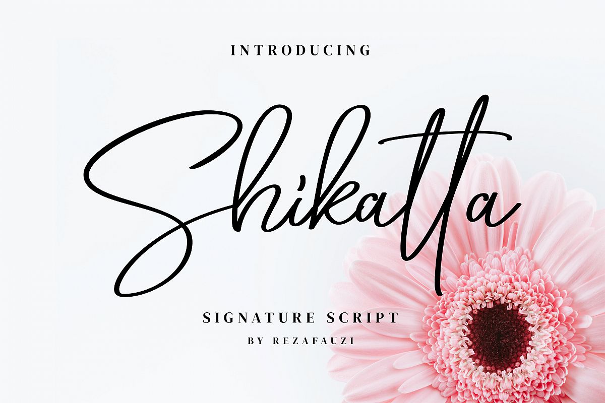 Shikatta - Signature Font example image 1