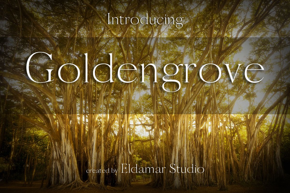 Goldengrove Font example image 1