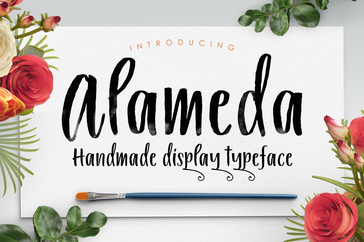 Alameda Typeface example image 1