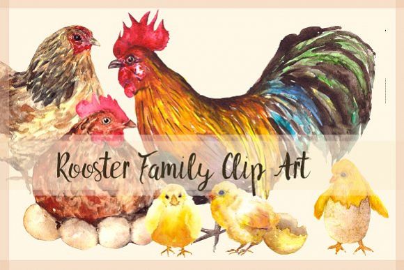 Rooster Family - Watercolor Clip Art example image 1