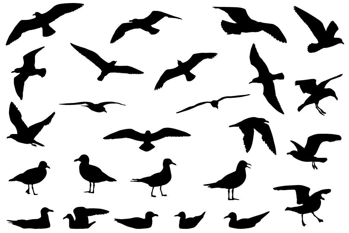 Gulls silhouette example image 1