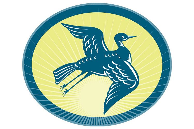 heron flying up side view with sunburst example image 1