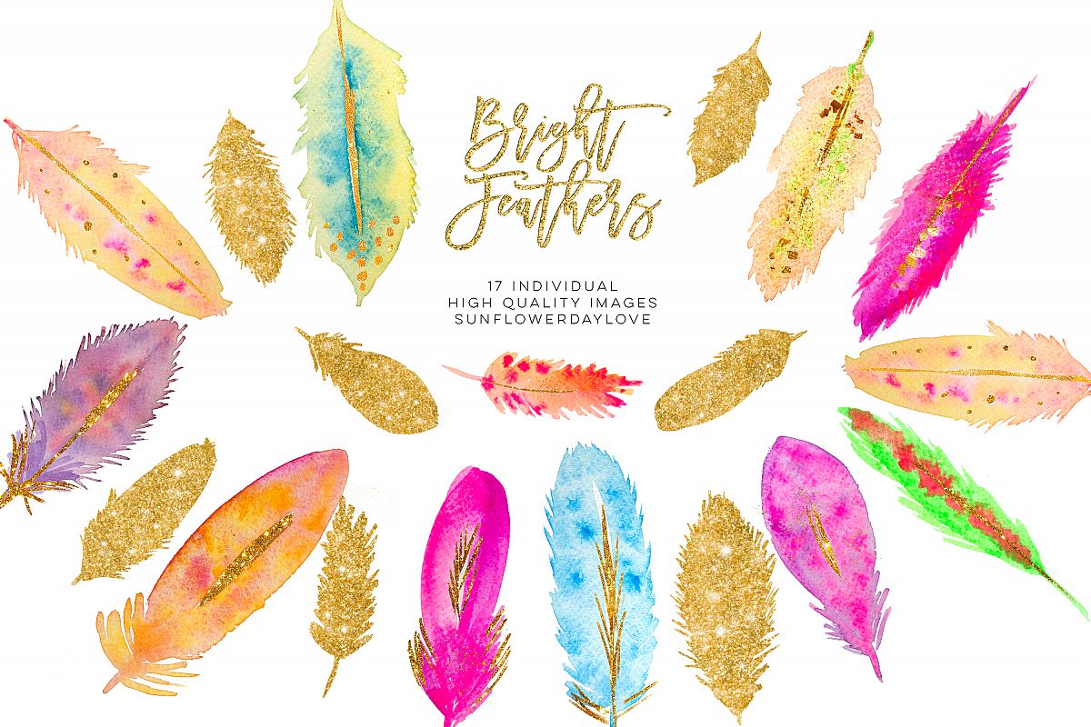 Watercolor Feathers clipart Download example image 1