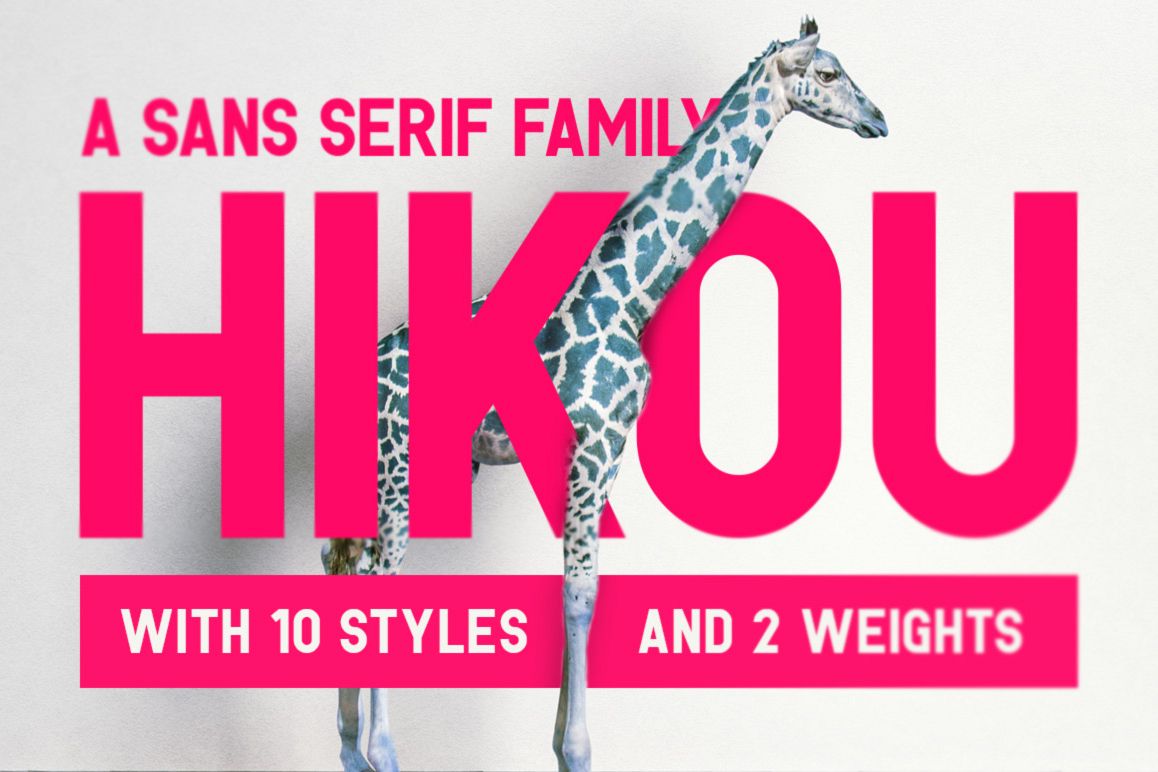 Hikou Typeface example image 1
