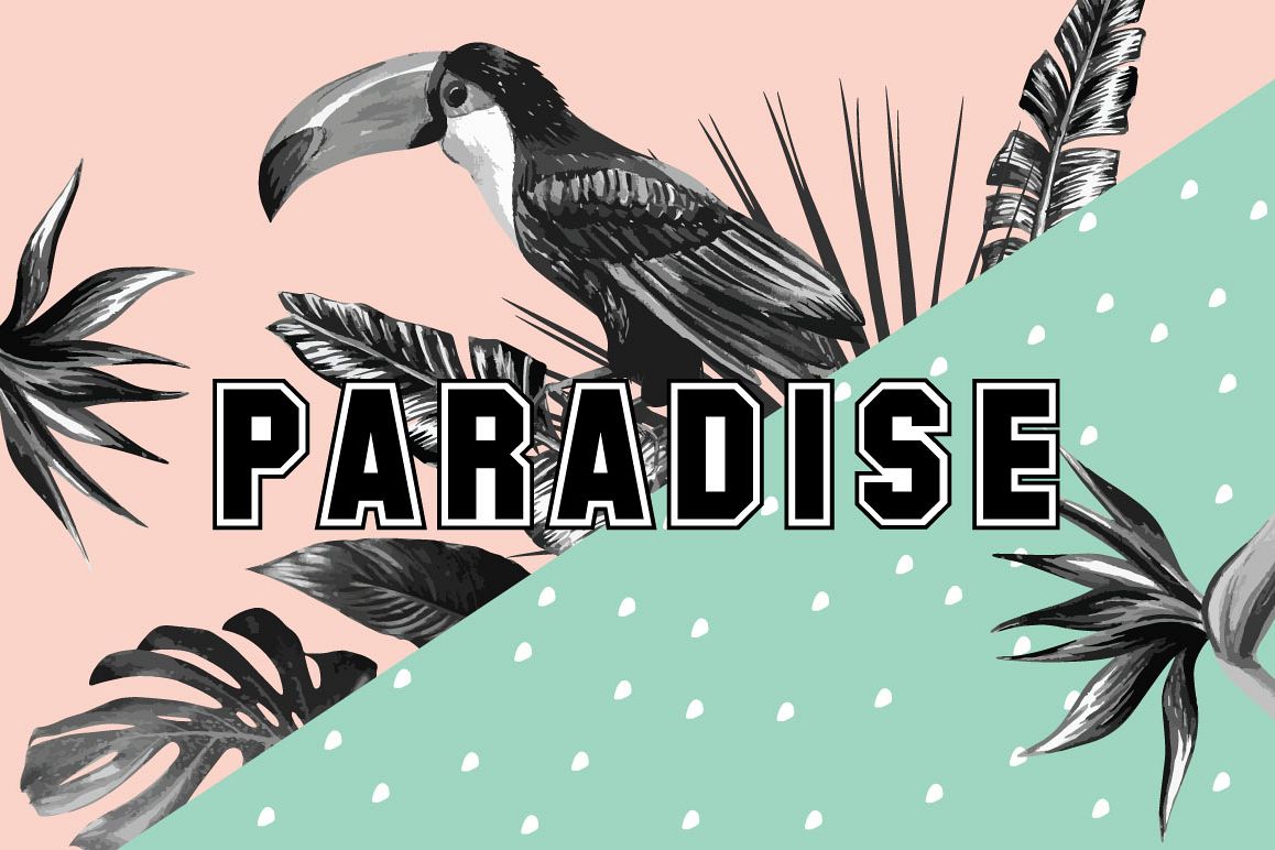 Paradise collection example image 1