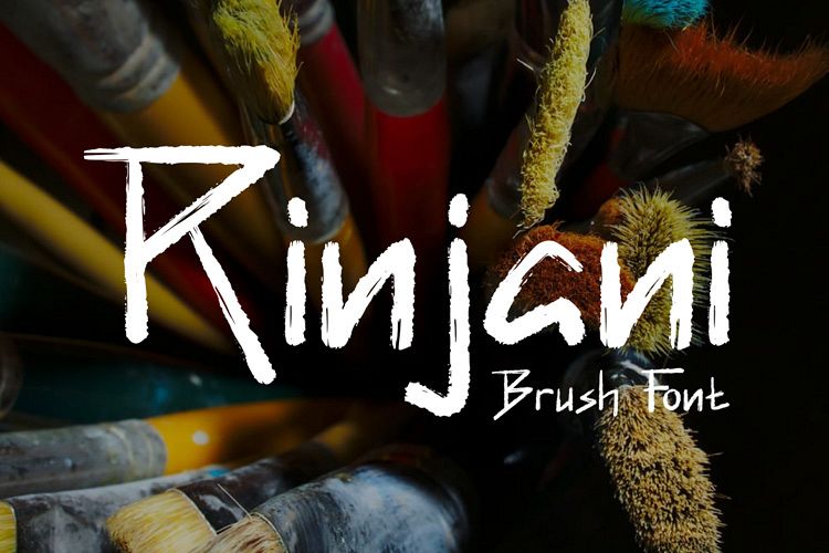 Rinjani example image 1