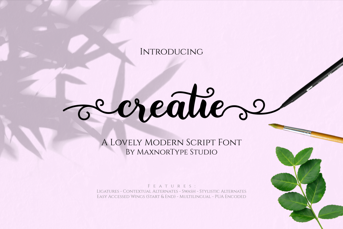 Creatie - A Lovely Modern Script Font example image 1