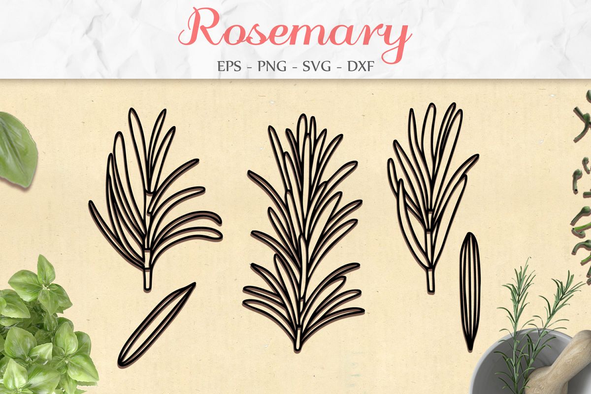 Rosemary Set svg png dxf eps - Rosemary Herb Paper Cut example image 1