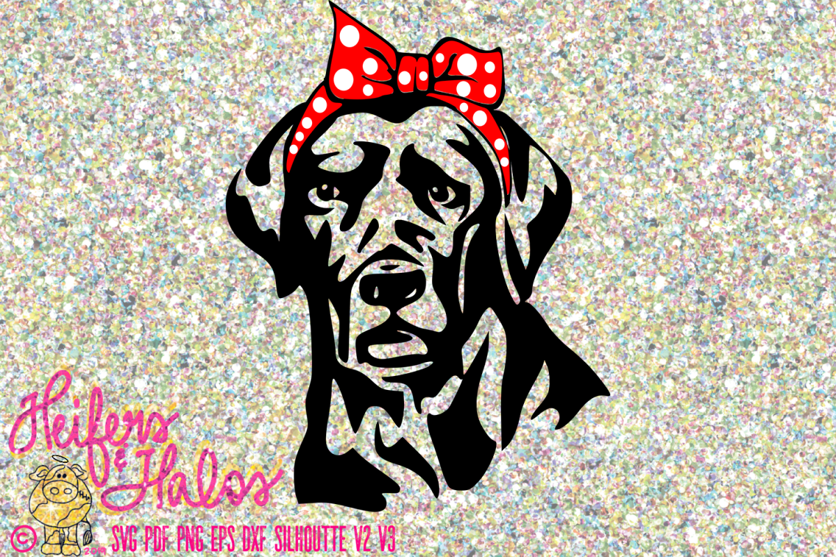 Black Lab with Bandana Bow Labrador example image 1