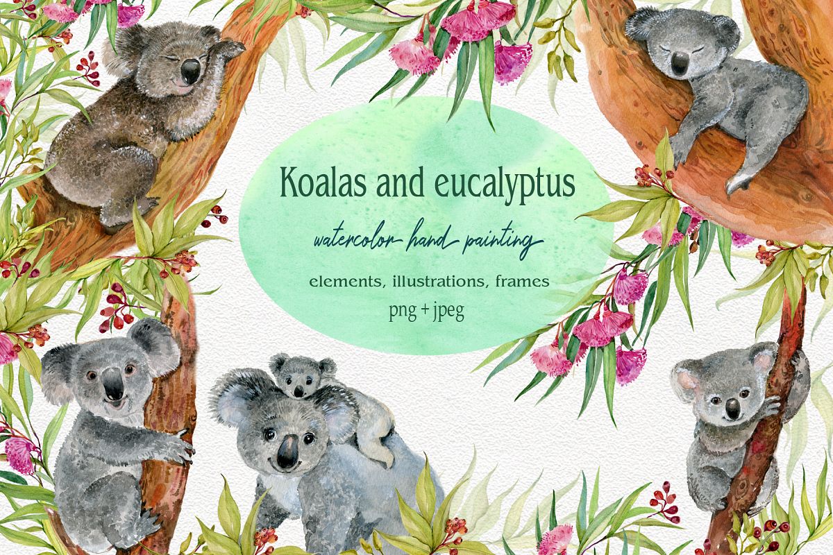 Koala & eucalyptus set illustration example image 1