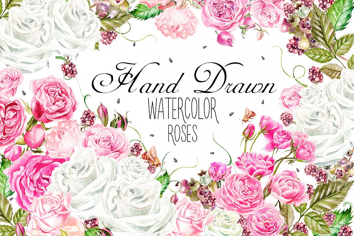 Hand drawn watercolor roses example image 1