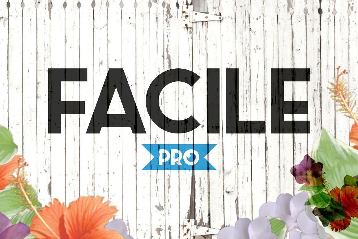 Facile Pro example image 1
