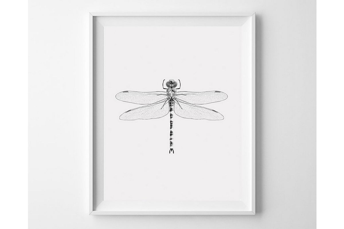 Dragonfly Wall Art Minimalist Print Insect