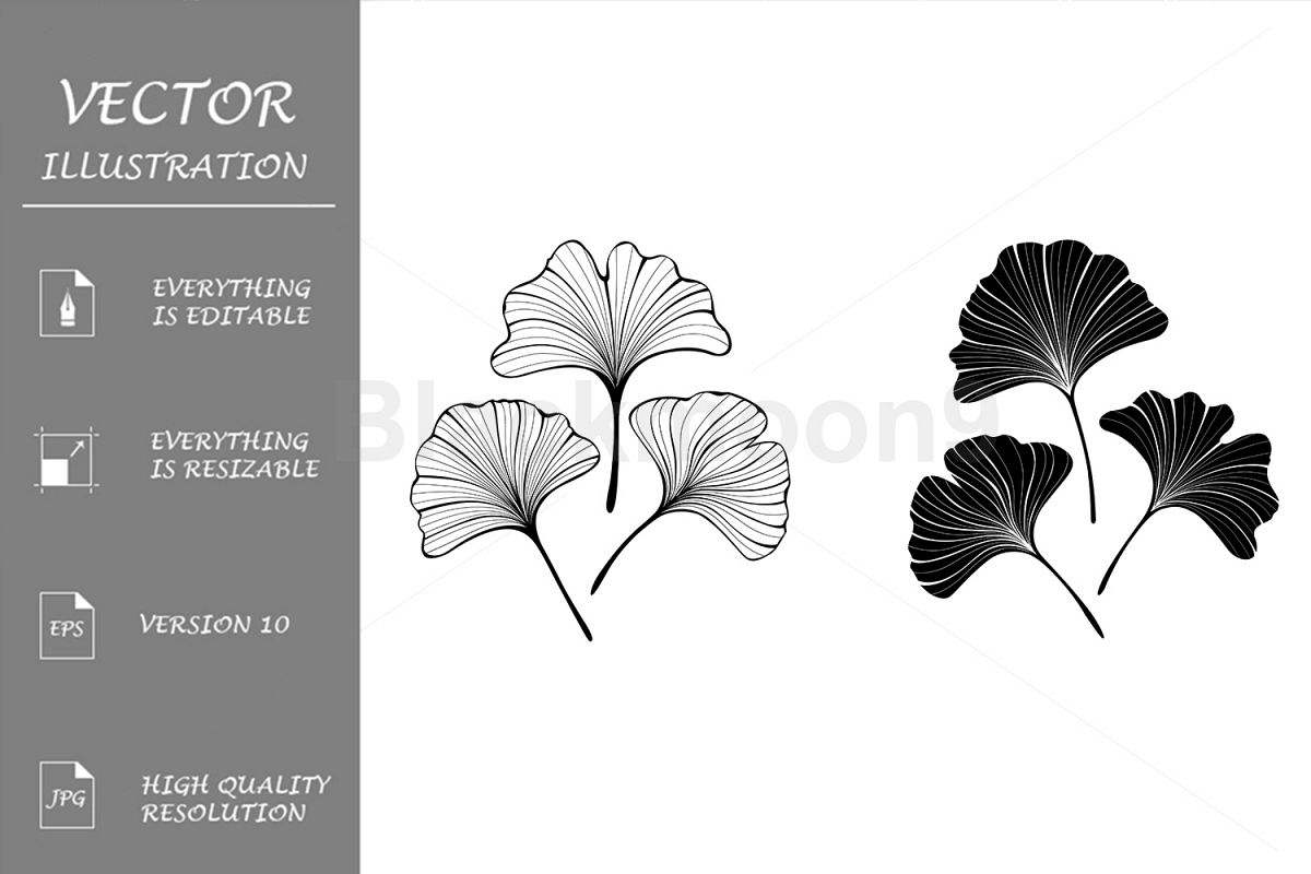 Monochrome Leaves of Ginko Biloba example image 1