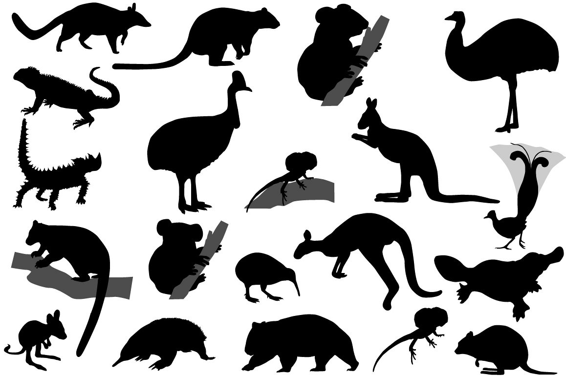 Animals of Australia example image 1