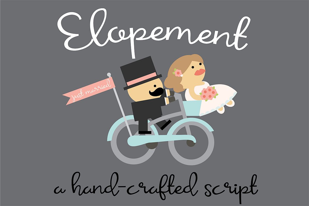 ZP Elopement example image 1