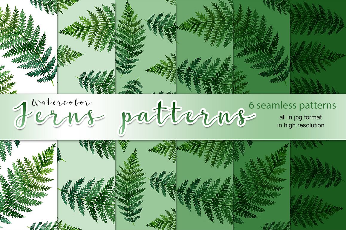Watercolor ferns patterns example image 1