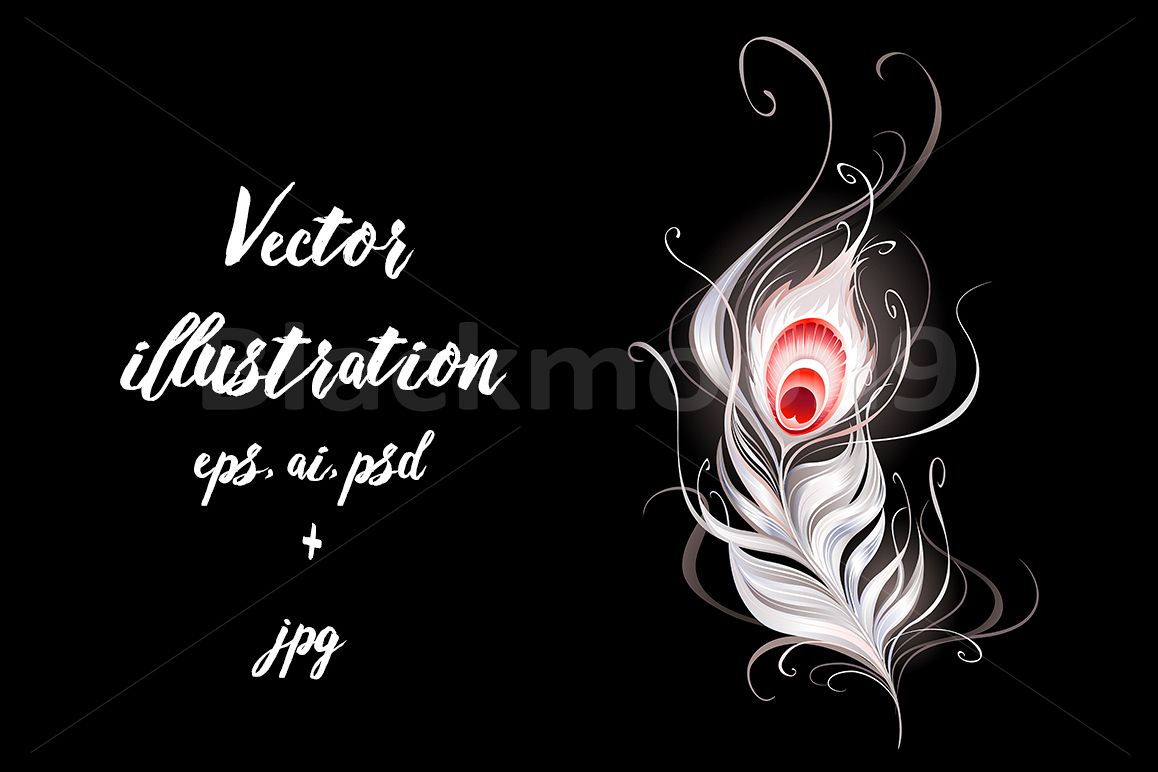 White Peacock Feather example image 1
