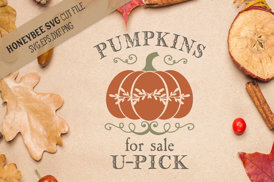 Pumpkins For Sale U-Pick svg example image 1
