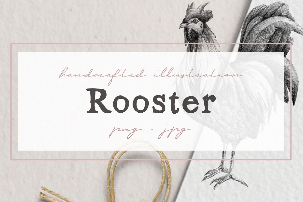 Hand drawn Rooster Illustration example image 1