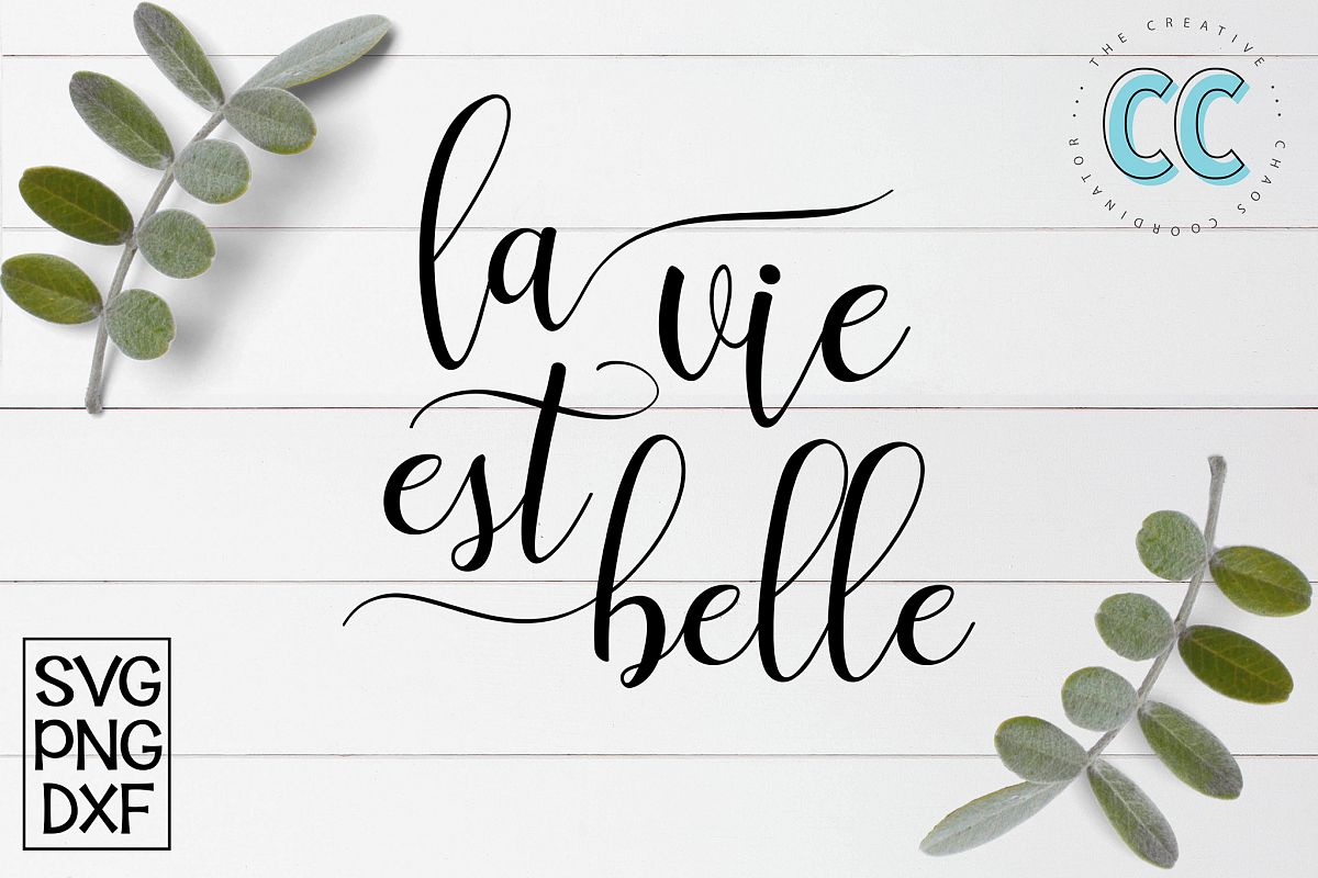 La Vie Est Belle - My Beautiful Life example image 1