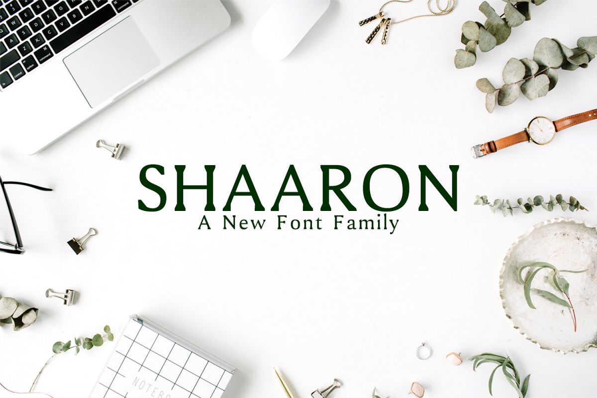 Shaaron A New Serif Font Family example image 1