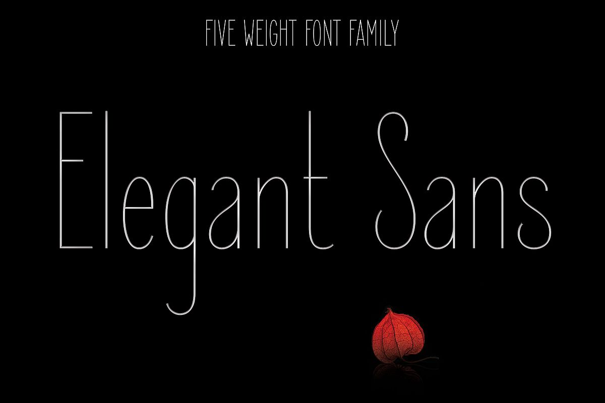 Elegant Sans Font Family example image 1