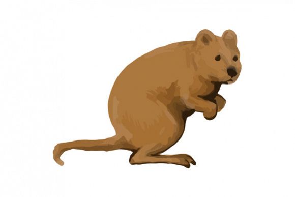 Quokka Side Watercolor example image 1