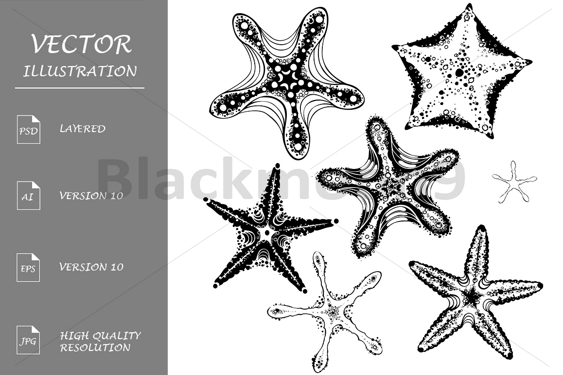 Silhouette Starfishes example image 1
