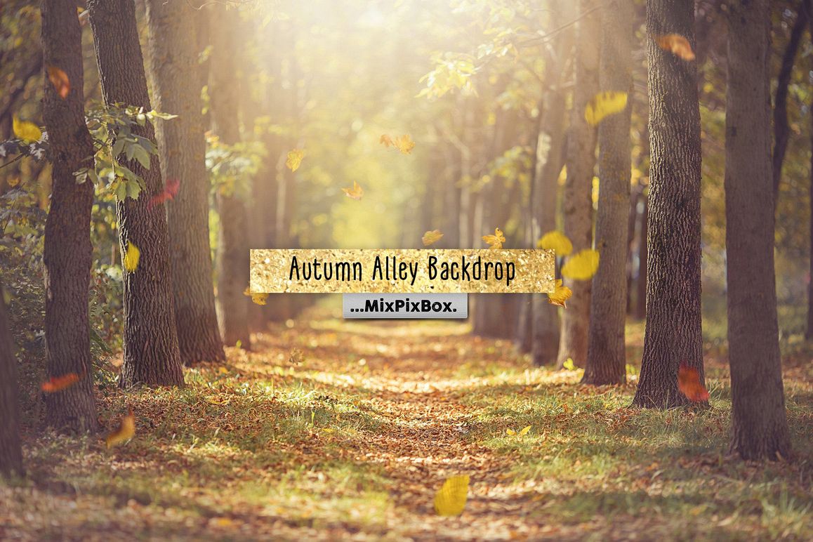 Autumn Alley Backdrop example image 1