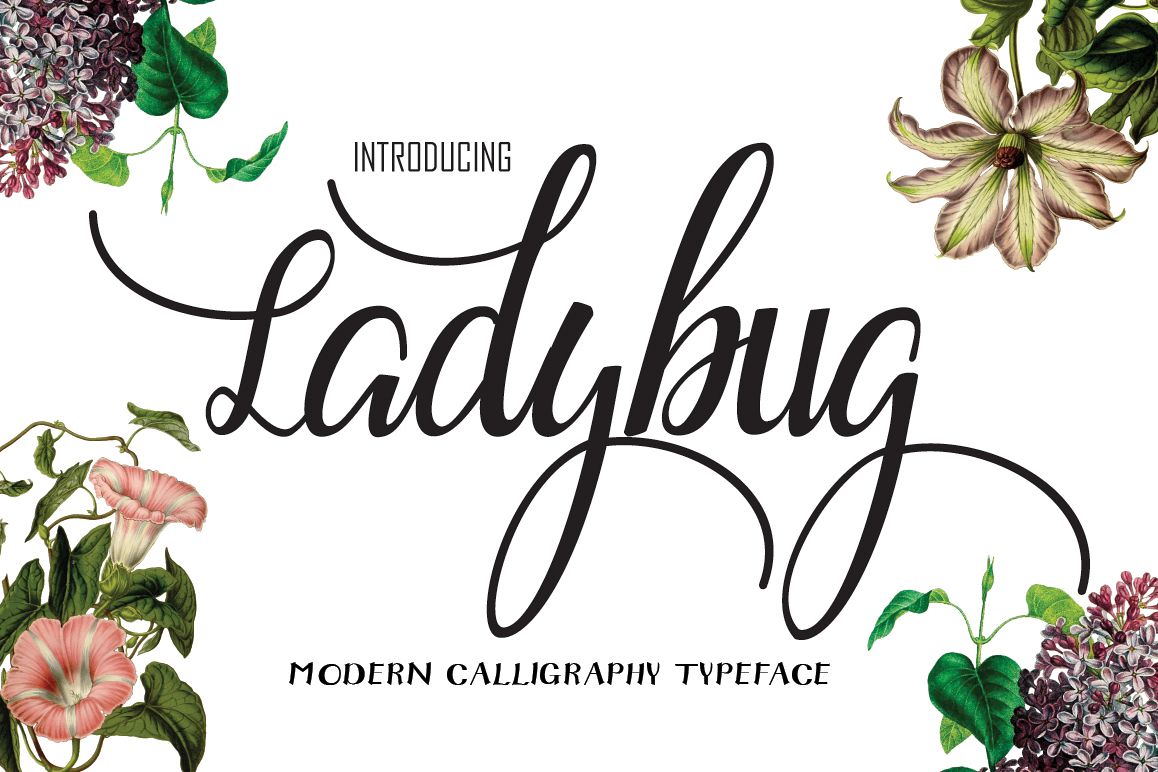 Ladybug example image 1