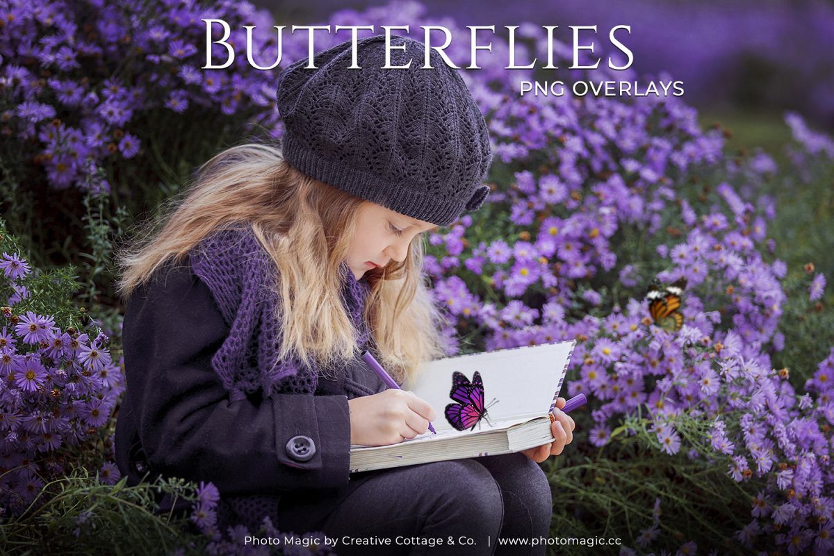Fantasy Butterflies Photo Overlays example image 1