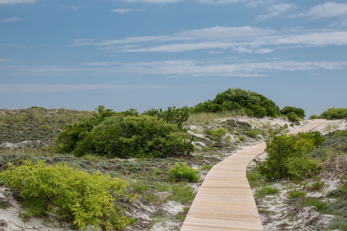 Road to the ocean example image 1