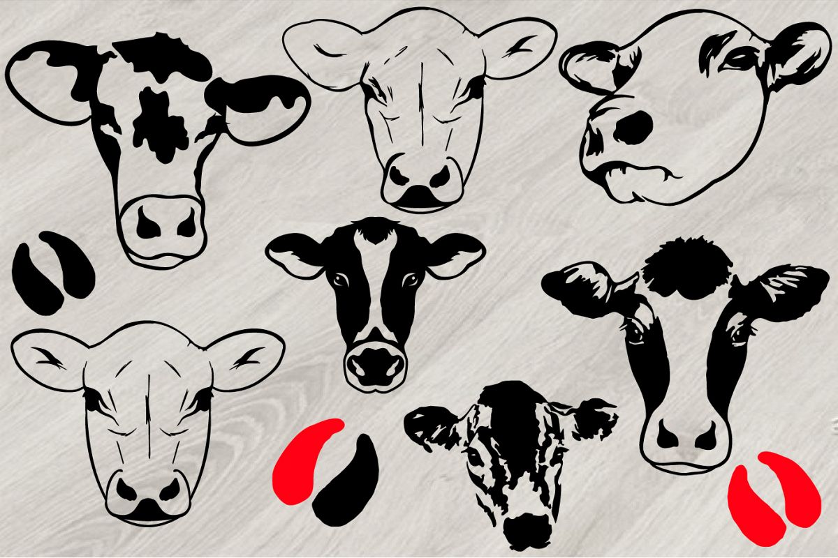 Download Heifer SVG, Cows Head SVG, cowboy western cow Farm Milk 796S