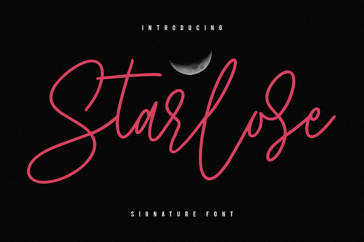 Starlose Signature Font example image 1