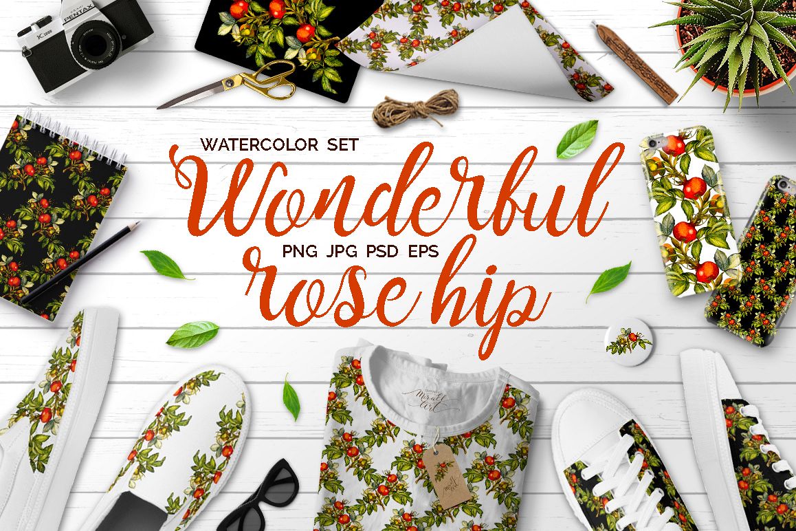 Watercolor rose hip set example image 1
