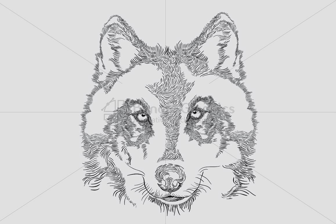 Wolf - Wild Animal example image 1