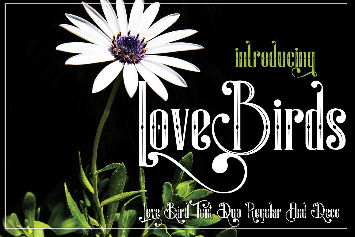 LoveBirds example image 1