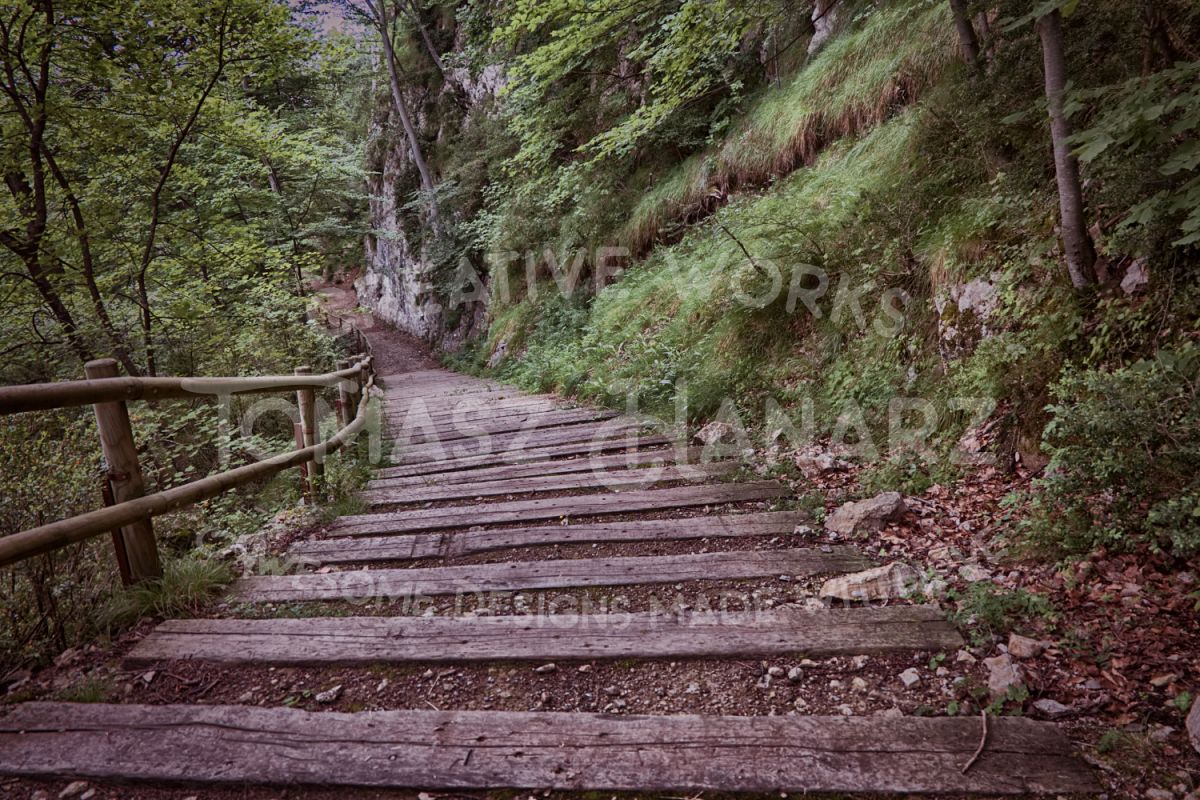 Stairs In The Forest example image 1